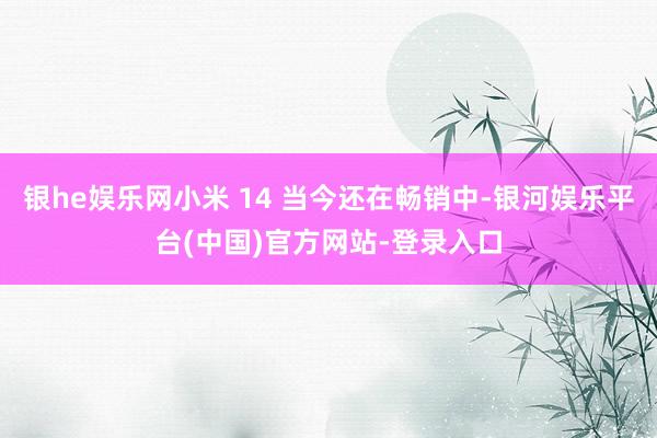 银he娱乐网小米 14 当今还在畅销中-银河娱乐平台(中国)官方网站-登录入口