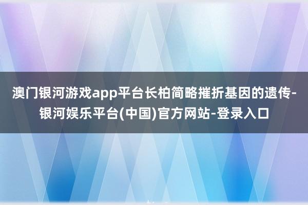 澳门银河游戏app平台长柏简略摧折基因的遗传-银河娱乐平台(中国)官方网站-登录入口