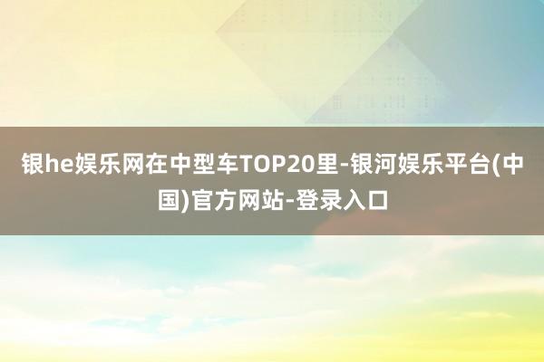 银he娱乐网在中型车TOP20里-银河娱乐平台(中国)官方网站-登录入口