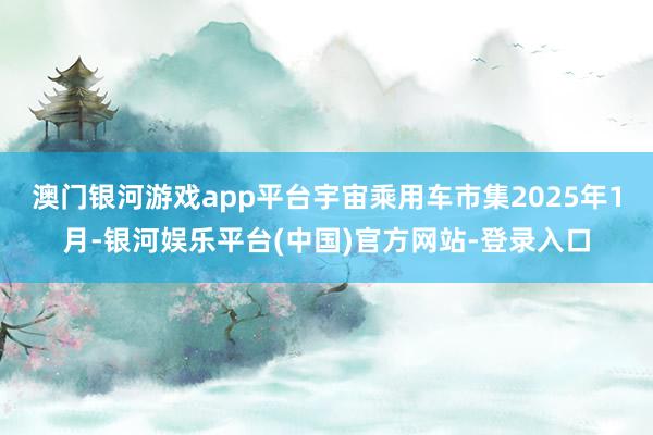 澳门银河游戏app平台宇宙乘用车市集2025年1月-银河娱乐平台(中国)官方网站-登录入口