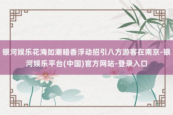 银河娱乐花海如潮暗香浮动招引八方游客在南京-银河娱乐平台(中国)官方网站-登录入口